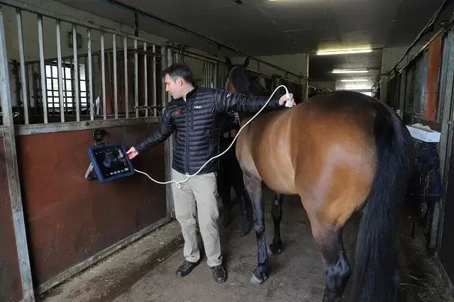 IMV ExaPad — Ecógrafo Inalámbrico Veterinario de Campo miniatura 2