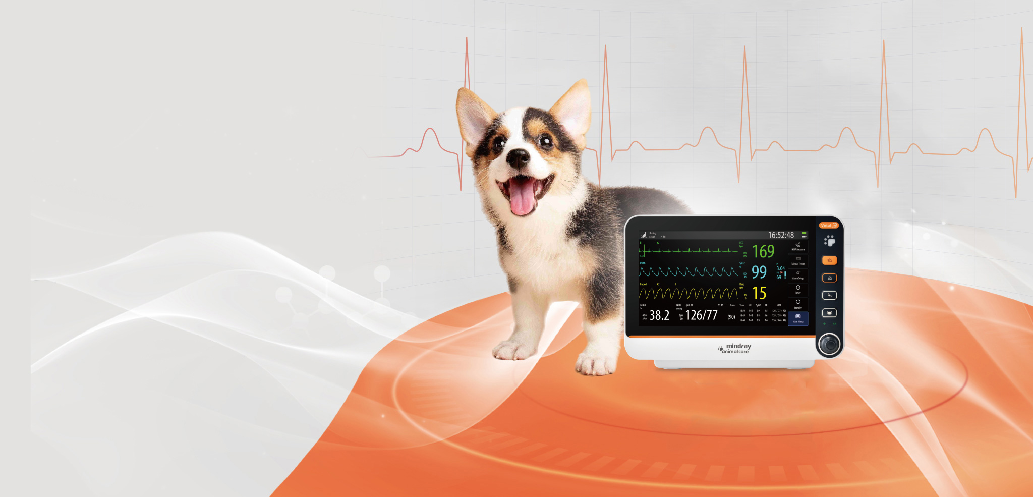 Mindray Vetal 3 — Monitor Veterinario Multiparamétrico